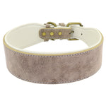 Personalized Leather Pet Collar Wide Padded Pet ID Collars Free Engraving