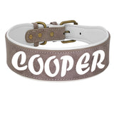 Personalized Leather Pet Collar Wide Padded Pet ID Collars Free Engraving