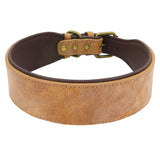 Personalized Leather Pet Collar Wide Padded Pet ID Collars Free Engraving