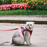 Cat Harness;  Fashion Reflective Vest;  Pet Harnesses Outdoor Walking Small Dogs and Cats