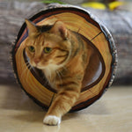 Foldable Cat Tunnel 3/4/5 Way Cat Tunnel Toys For Pet Training Cat Interactive Toys for Small Medium Cats Pet Accessories