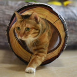 Foldable Cat Tunnel 3/4/5 Way Cat Tunnel Toys For Pet Training Cat Interactive Toys for Small Medium Cats Pet Accessories