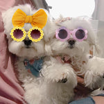 2Pcs/Set Pet Dog Headband and Sunglasses