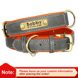 Customized Leather ID Nameplate Pet Collar Soft Padded Dogs Collars Free Engraving