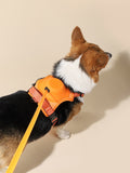 Painles Dog Harness Set with Retractable Leash and Poop Bag Mesh Anti Pulls Pectoral for Medium - X-Large Dogs