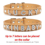 (Free Bling Rhinestone Letter)  Custom Pet Cat/Dog Collar Leather Collars For Small-X_Large  Dogs and Cats