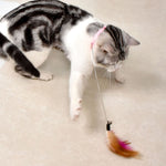 Interactive  Cat Teaser Stick Collar Self-hi Game  Pet Cat Toys