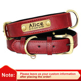 Customized Leather ID Nameplate Pet Collar Soft Padded Dogs Collars Free Engraving