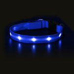 Light Up Dog Collar