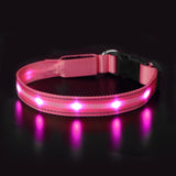 Light Up Dog Collar