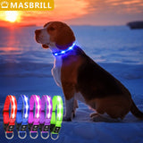 Light Up Dog Collar