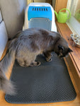 Cat Litter Mat Waterproof Double Layer