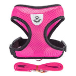 Adjustable Harness Vest with Leash