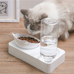 Plastic Pet Gravity Water and Food Bowls