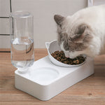 Plastic Pet Gravity Water and Food Bowls