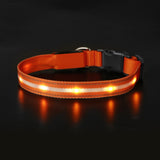 Light Up Dog Collar