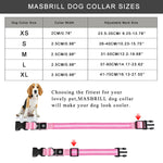 Light Up Dog Collar