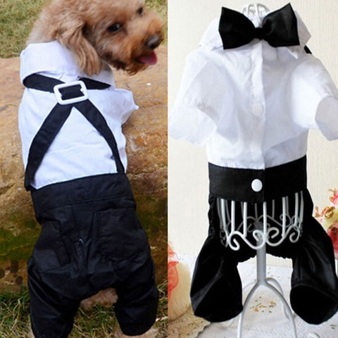 Wedding Suit Formal Shirt For Small-Med Sized Dogs Bow tie Tuxedo