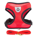 Adjustable Harness Vest with Leash