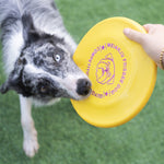 Funny Flying Saucer Dog Toys