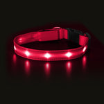 Light Up Dog Collar