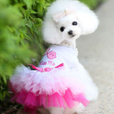 Cute Cotton Princess Dress