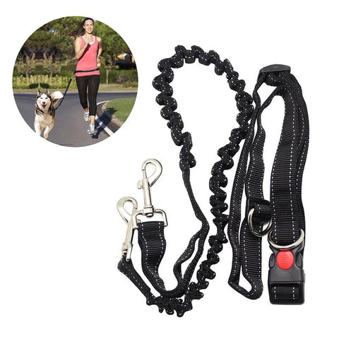 Hands Free Running, Adjustable Waist Belt Perfect for Jogging Hiking Walking Your Pet.