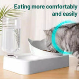 Plastic Pet Gravity Water and Food Bowls