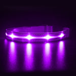 Light Up Dog Collar