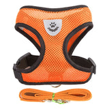 Adjustable Harness Vest with Leash