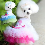 Cute Cotton Princess Dress