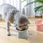 Pet High Neck Bowl