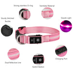 Light Up Dog Collar