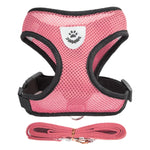 Adjustable Harness Vest with Leash