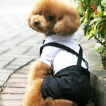 Wedding Suit Formal Shirt For Small-Med Sized Dogs Bow tie Tuxedo