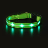 Light Up Dog Collar