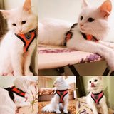 Adjustable Harness Vest with Leash