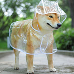 Transparent  Hooded Waterproof Raincoat