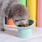 Pet High Neck Bowl