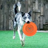 Funny Flying Saucer Dog Toys