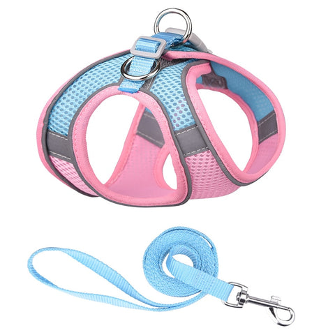 Dog Harness And Leash Set