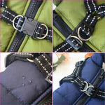 Pet Dog Jacket With Harness, waterproof