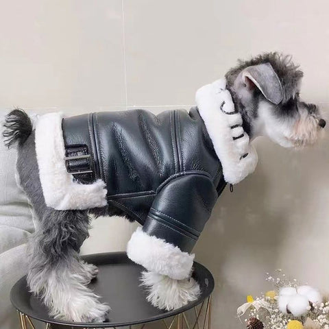 Luxury Leather / Fleece  Jacket For Small /Med Dogs