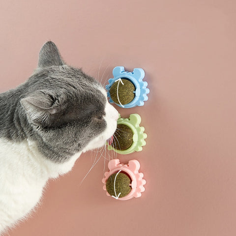 Healthy Cat Catnip Toy Ball