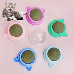 Healthy Cat Catnip Toys;  Licking Snacks;  Catnip Snack Nutrition Energy