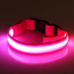 Flashing Luminous Collar