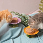 Ceramic Flower Pet Bowls