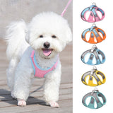 Dog Harness And Leash Set