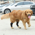 Pet Dog Bandage/ Leg Knee Brace / Joint Bandage Wrap