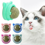 Healthy Cat Catnip Toys;  Licking Snacks;  Catnip Snack Nutrition Energy